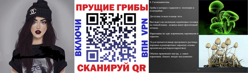 даркнет какой сайт  магазин продажи наркотиков  Сибай  Псилоцибиновые грибы GOLDEN TEACHER 