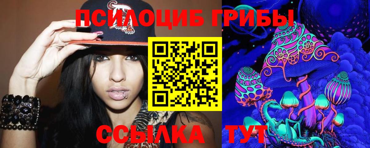 Псилоцибиновые грибы Psilocybine cubensis Сибай